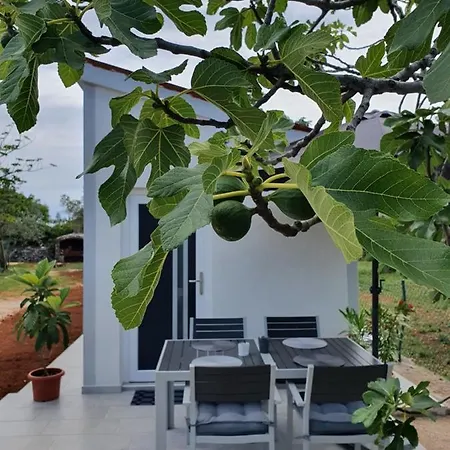 Holiday home Ceca*** *