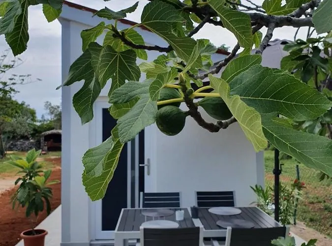 Σπίτι διακοπών Ceca*** *