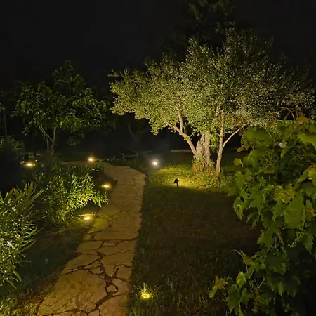 Ceca*** Дом отдыха